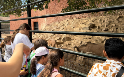 ¡Empezamos a conocernos! (Aula maternal Secundaria)