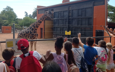 Actividad 1: Aula maternal (Primaria)