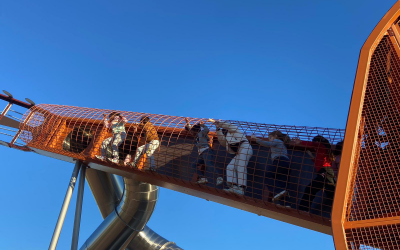 Actividad 7: Parque del flamenco